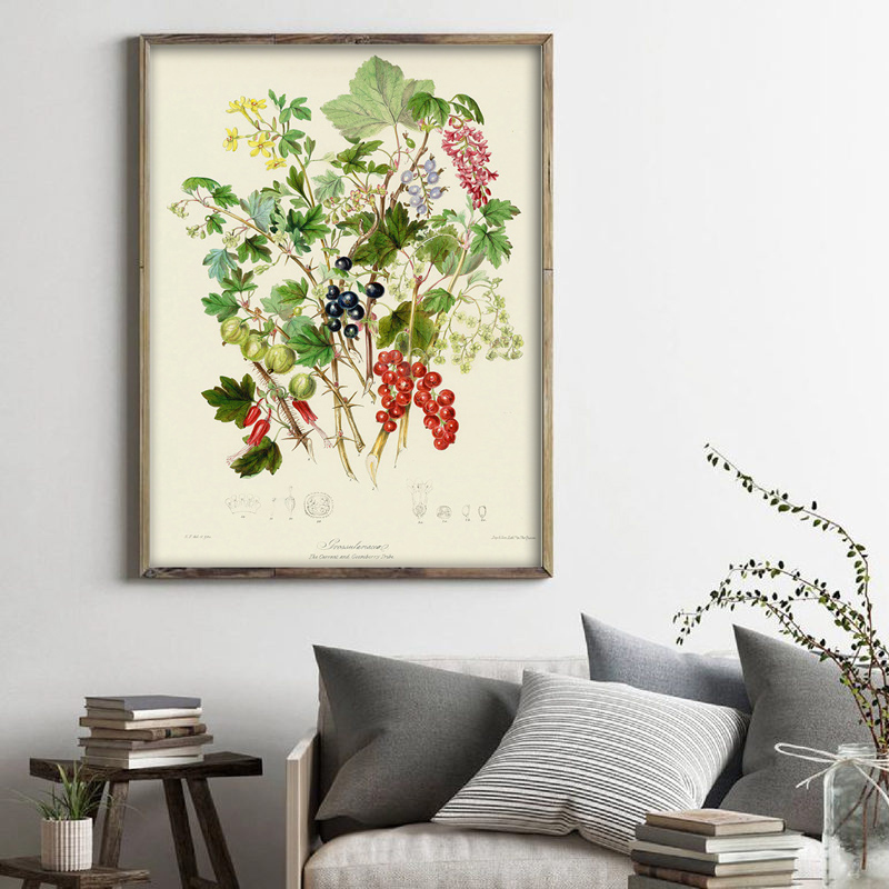 植物コレクション、ヴィンテージポスター、植物のハーブをモチー - Vintage Collectible Posters のレビューと価格